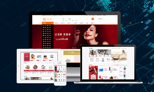 电商 / 门户网站建
